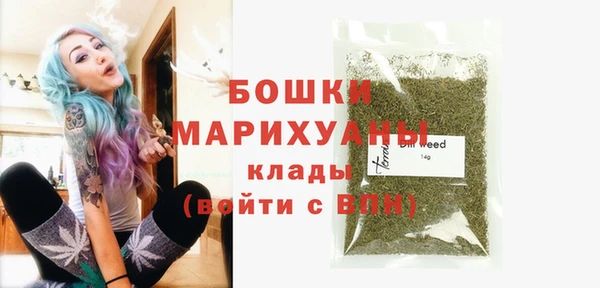 apvp Карпинск