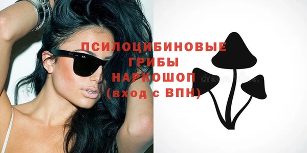 ПСИЛОЦИБИНОВЫЕ ГРИБЫ Мурманск