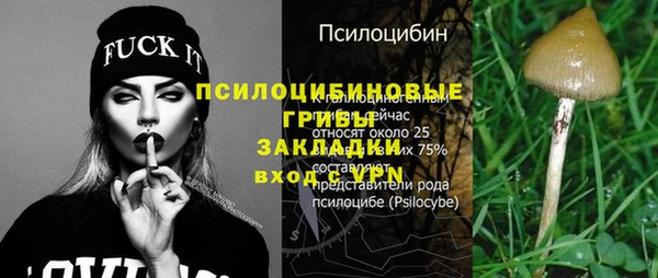 apvp Карпинск