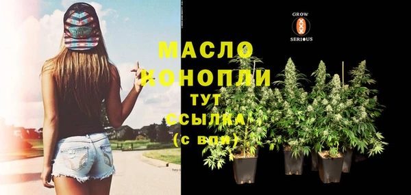 apvp Карпинск