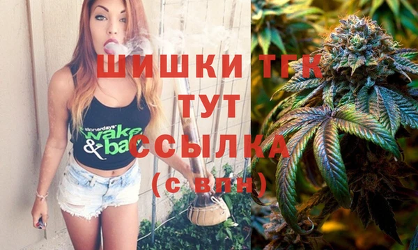 apvp Карпинск